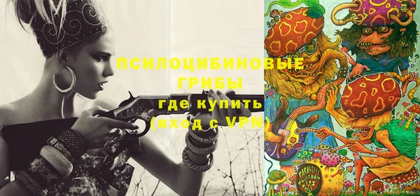 молекула духа Михайловка