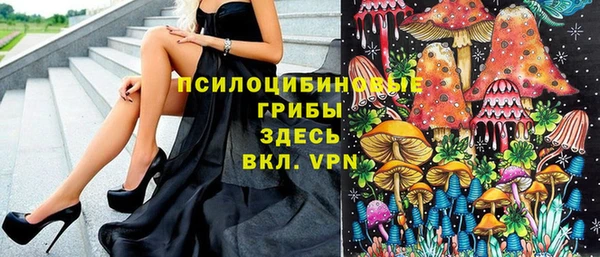 ешки Пестово
