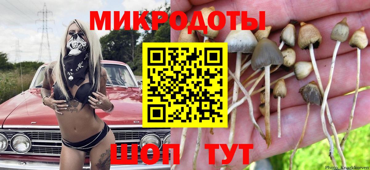 Галлюциногенные грибы мицелий  Нижневартовск 