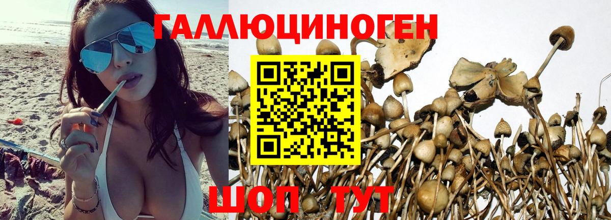 Нижневартовск  Псилоцибиновые грибы мухоморы  Псилоцибиновые грибы Psilocybine cubensis  Вход с VPN 